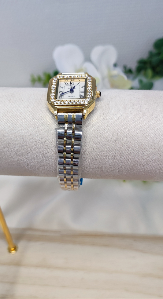 Montre en acier inoxydable