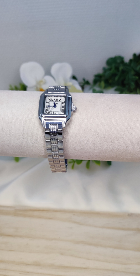 Montre en acier inoxydable