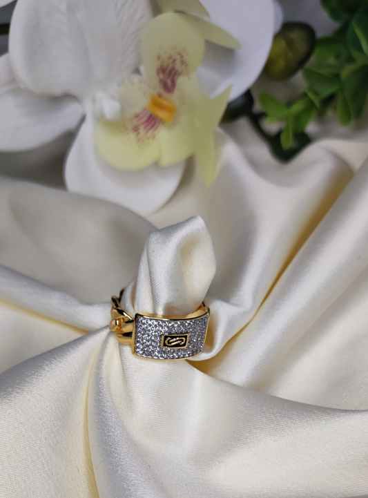 Bague monaco en acier inoxydable