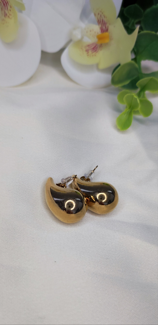 Boucles d'oreilles en acier inoxydable