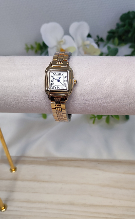 Montre rn acier inoxydable